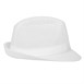 Chapeau Trilby blanc avec résille 