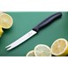 Couteau de bar Victorinox 125mm