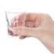 Shooters Olympia Orleans 40ml (Lot de 12)