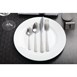 Assiettes à bord large blanches Olympia 280mm (Lot de 6)