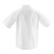 Veste de cuisine mixte Whites Chicago manches courtes blanche