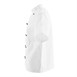 Veste de cuisine mixte Whites Chicago manches courtes blanche