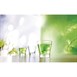 Gobelets Arcoroc Shetland 250ml (Lot de 48)