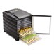 Déshydrateur 10 plateaux avec minuterie et porte Buffalo