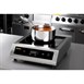 Plaque induction professionnelle Buffalo 3kW