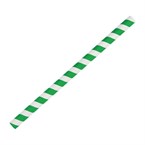 Pailles à smoothie compostables en papier Fiesta Compostable vertes 210mm (lot de 250)