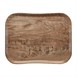Plateau polyester Century aspect naturel bois Cambro olivier clair 330 x 430mm