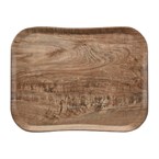 Plateau polyester Century aspect naturel bois Cambro olivier clair 360 x 460mm