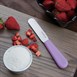 Couteau spatule Hygiplas violet 10cm