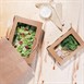 Boîtes salade avec fenêtre en PLA Fiesta Green (lot de 200)