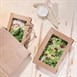 Boîtes salade avec fenêtre en PLA Fiesta Green (lot de 200)