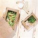 Boîtes salade avec fenêtre PET Fiesta Recyclable 