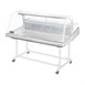 Vitrine réfrigérée de comptoir à poisson Polar Série G 255L