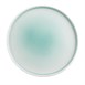 Assiettes Olympia Fondant vertes 270mm (lot de 4)