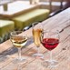 Verres à vin ballon Cosy Moments 250ml (lot de 12)