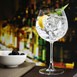 Verres à gin Serena Olympia 650ml (lot de 6)