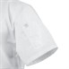 Veste de cuisinier à manches courtes Chef Works Cannes