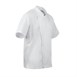 Veste de cuisinier à manches courtes Chef Works Cannes