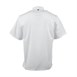 Veste de cuisinier à manches courtes Chef Works Cannes