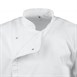 Veste de cuisinier à manches courtes Chef Works Cannes