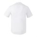 Veste de cuisinier en maille à manches courtes Southside Harlem blanche