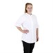Veste de cuisinier en maille à manches courtes Southside Harlem blanche