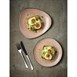 Assiettes avec rebord Churchill Stonecast Raw Terracotta Evolve 286mm (Lot de 12)