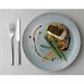 Assiettes coupe ronde Churchill Studio Prints Raku Topaz Blue 248mm (Lot de 12)