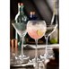 Verres à martini Twisted Hayworth Utopia 300 ml (lot de 6)