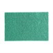 Tampons abrasifs verts 100% recyclés Jantex 225x150mm (lot de 10)