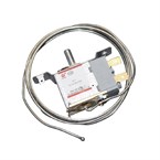 Thermostat Polar