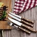 Couteaux à steak Olympia avec manches en PP imitation bois (lot de 12)