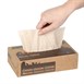 Mouchoirs Jantex Green 100% recyclé 100 feuilles (lot de 36)
