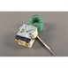 Thermostat LH Buffalo