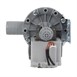 Pompe de vidange pour lave-verres Buffalo