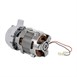 Pompe pour lave-verres Buffalo