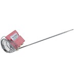 Thermostat Buffalo