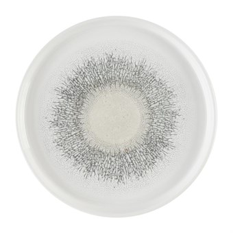 Assiettes avec rebord Churchill Studio Prints Fusion Agate Grey 260mm (Lot de 6)