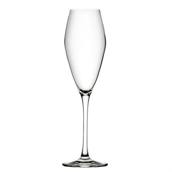 Flûtes à Seine Utopia 260 ml (Pack de 6)