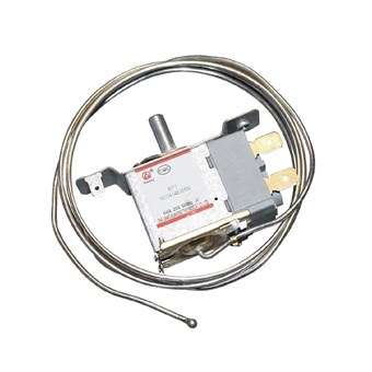 Thermostat Polar