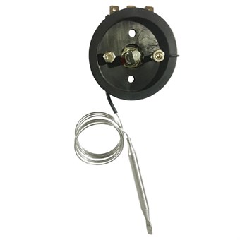 Thermostat Buffalo