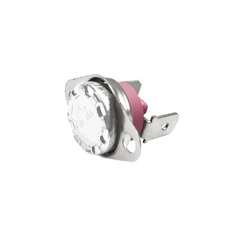 Thermostat Buffalo